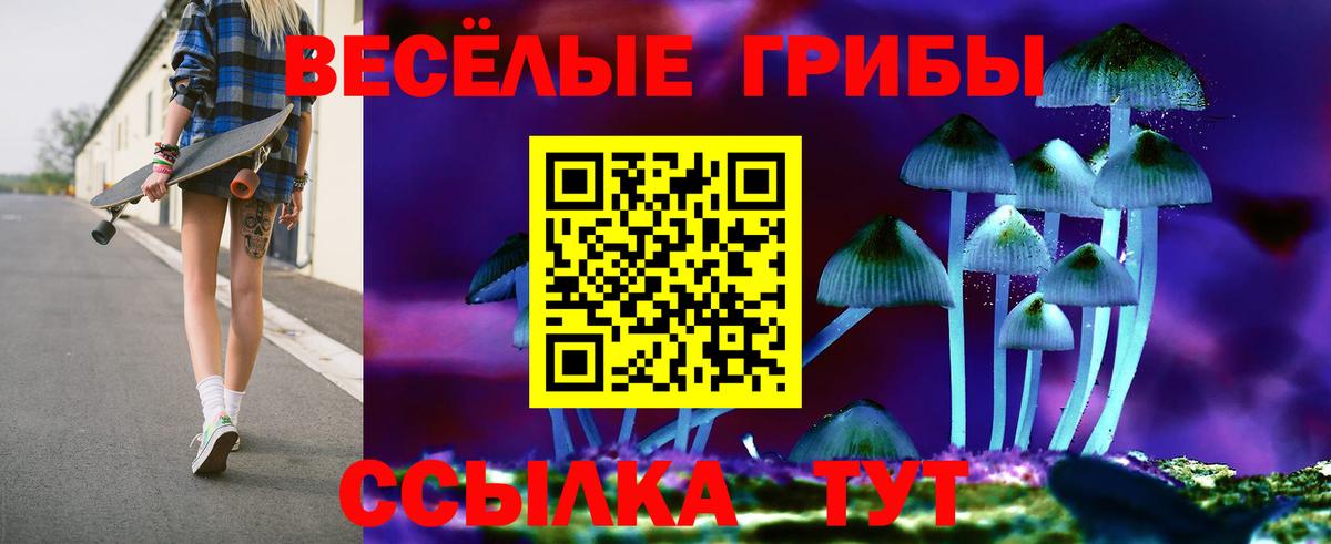 Галлюциногенные грибы Psilocybe Гатчина