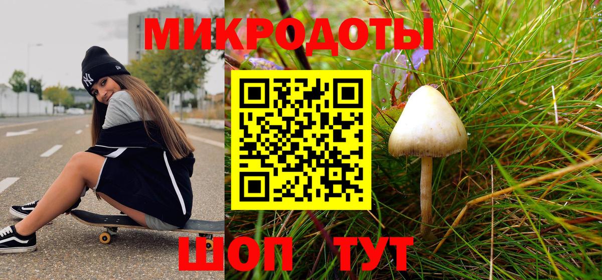 Гатчина  Псилоцибиновые грибы GOLDEN TEACHER  Вход с VPN  Галлюциногенные грибы GOLDEN TEACHER 